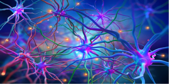 Modéliser les acquis de l’expérience