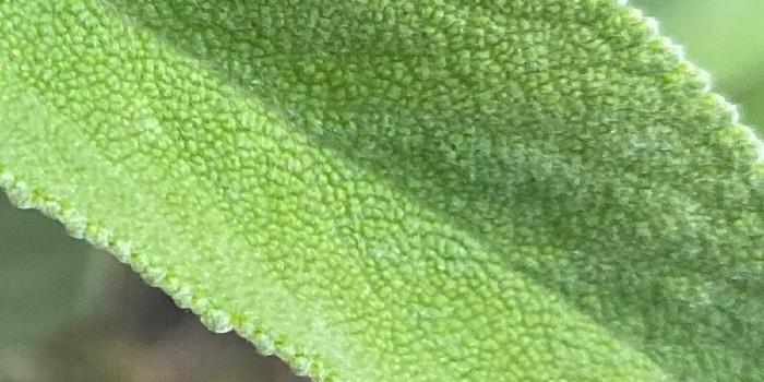 Faire sa sauvegarde en une seule commande